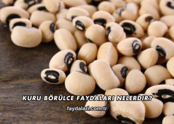 Kuru Börülce Faydaları Nelerdir?