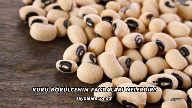 Kuru Börülcenin Faydaları Nelerdir?