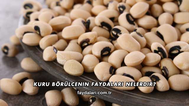 Kuru Börülcenin Faydaları Nelerdir?