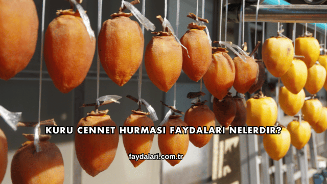 Kuru Cennet Hurması Faydaları Nelerdir?