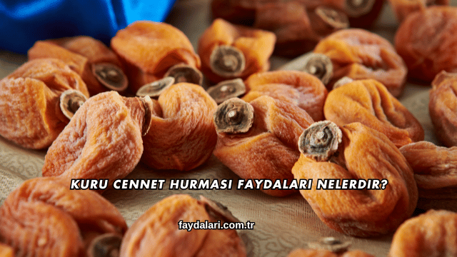 Kuru Cennet Hurması Faydaları Nelerdir?