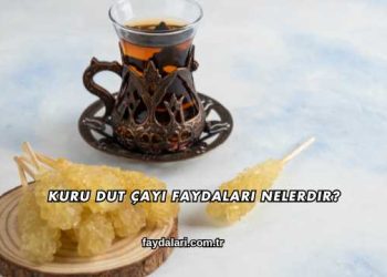 Kuru Dut Çayı Faydaları Nelerdir?