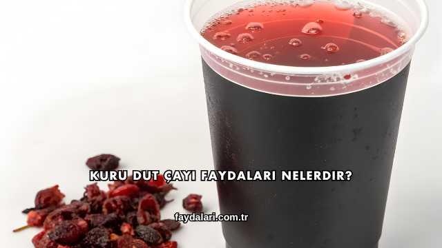 Kuru Dut Çayı Faydaları Nelerdir?