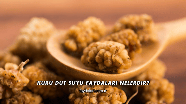 Kuru Dut Suyu Faydaları Nelerdir?