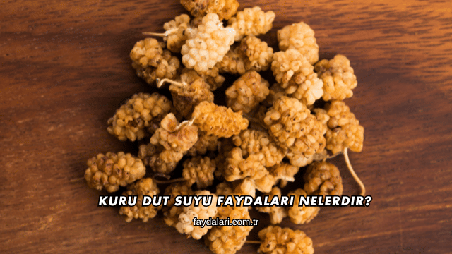 Kuru Dut Suyu Faydaları Nelerdir?