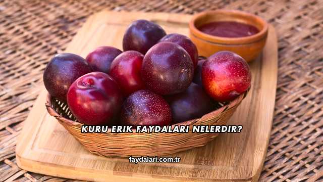 Kuru Erik Faydaları Nelerdir?