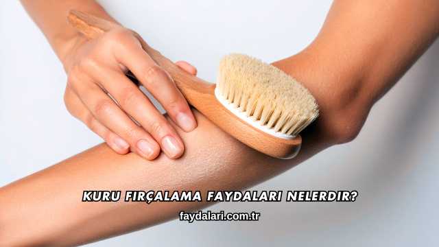Kuru Fırçalama Faydaları Nelerdir?
