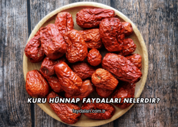Kuru Hünnap Faydaları Nelerdir?