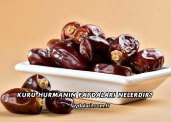 Kuru Hurmanın Faydaları Nelerdir?