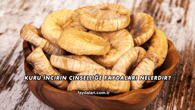 Kuru İncirin Cinselliğe Faydaları Nelerdir?