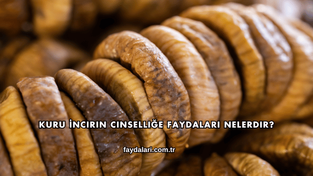 Kuru İncirin Cinselliğe Faydaları Nelerdir?