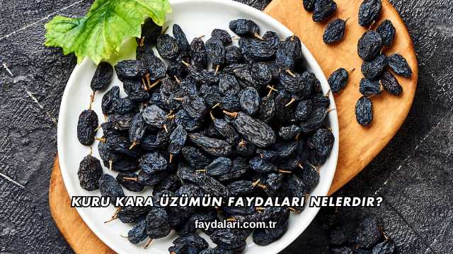 Kuru Kara Üzümün Faydaları Nelerdir?