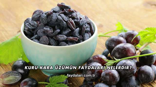 Kuru Kara Üzümün Faydaları Nelerdir?