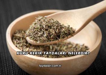 Kuru Kekik Faydaları Nelerdir?