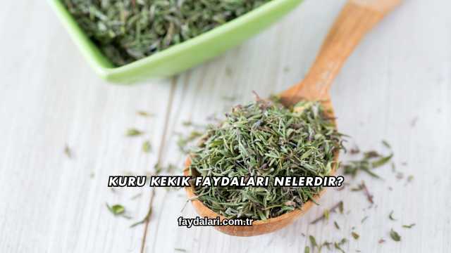 Kuru Kekik Faydaları Nelerdir?