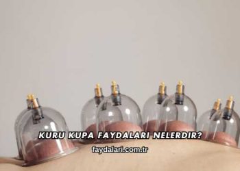 Kuru Kupa Faydaları Nelerdir?