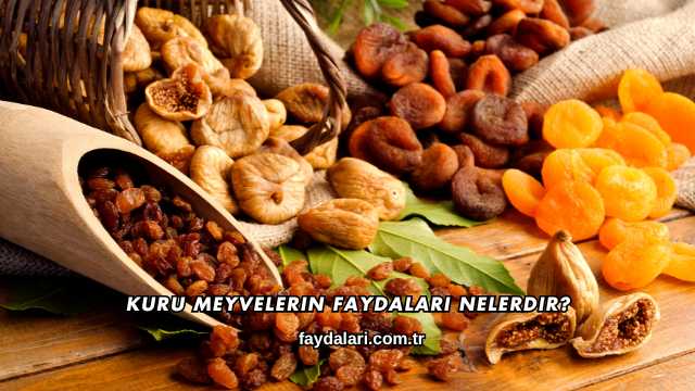 Kuru Meyvelerin Faydaları Nelerdir?