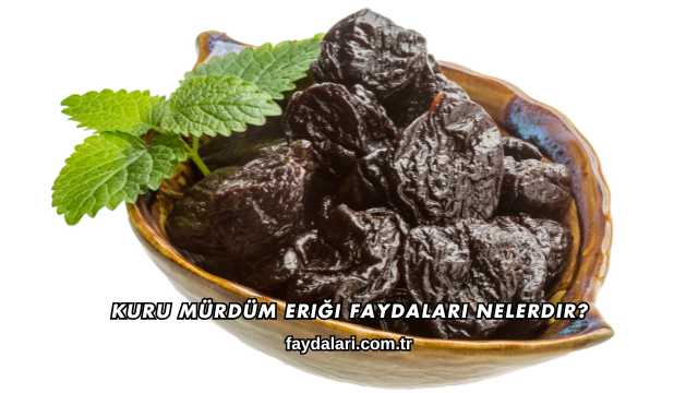Kuru Mürdüm Eriği Faydaları Nelerdir?