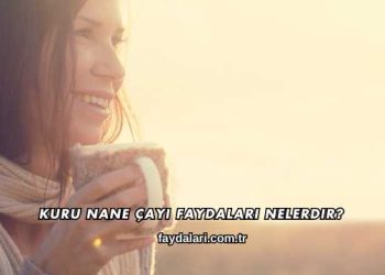 Kuru Nane Çayı Faydaları Nelerdir?