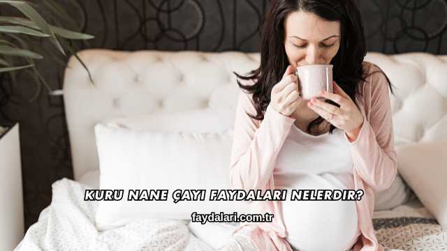 Kuru Nane Çayı Faydaları Nelerdir?