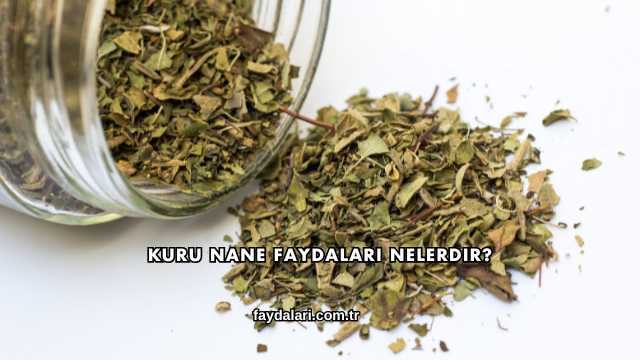 Kuru Nane Faydaları Nelerdir?