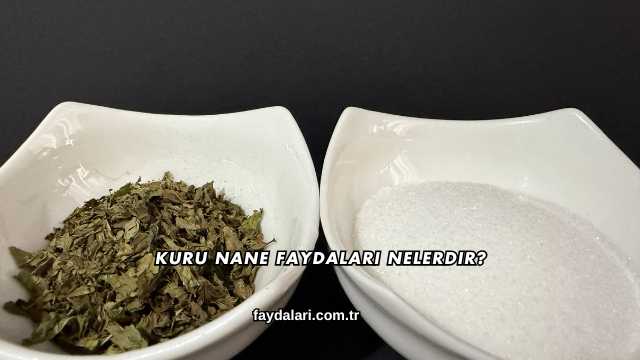 Kuru Nane Faydaları Nelerdir?