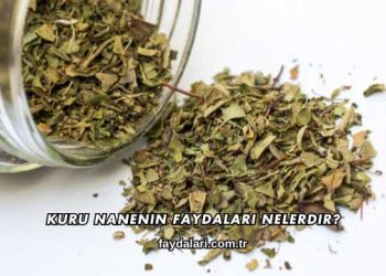 Kuru Nanenin Faydaları Nelerdir?