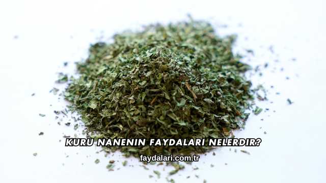 Kuru Nanenin Faydaları Nelerdir?