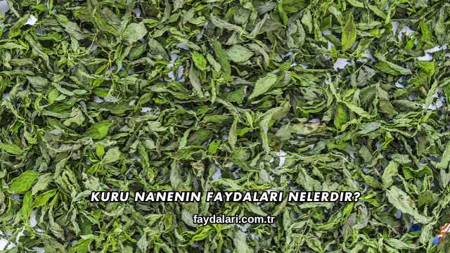 Kuru Nanenin Faydaları Nelerdir?