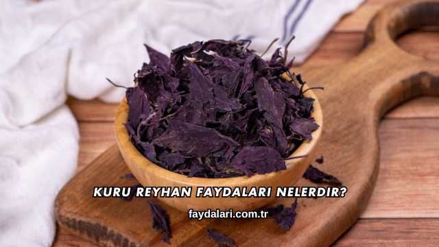 Kuru Reyhan Faydaları Nelerdir?