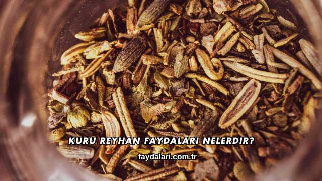 Kuru Reyhan Faydaları Nelerdir?