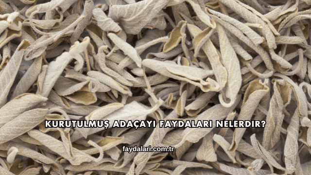 Kurutulmuş Adaçayı Faydaları Nelerdir?
