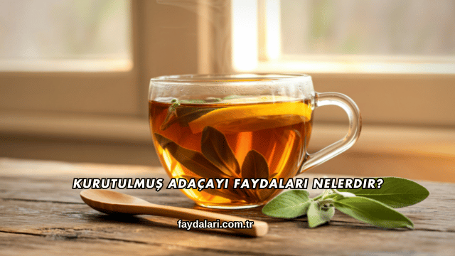 Kurutulmuş Adaçayı Faydaları Nelerdir?