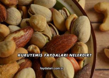 Kuruyemiş Faydaları Nelerdir?