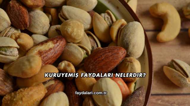 Kuruyemiş Faydaları Nelerdir?