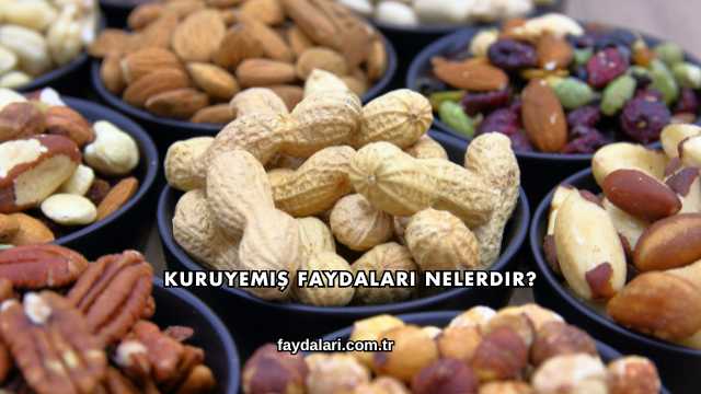 Kuruyemiş Faydaları Nelerdir?