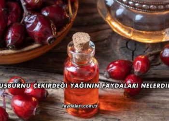 Kuşburnu Çekirdeği Yağının Faydaları Nelerdir?