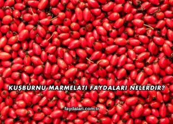 Kuşburnu Marmelatı Faydaları Nelerdir?