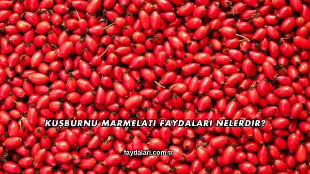 Kuşburnu Marmelatı Faydaları Nelerdir?