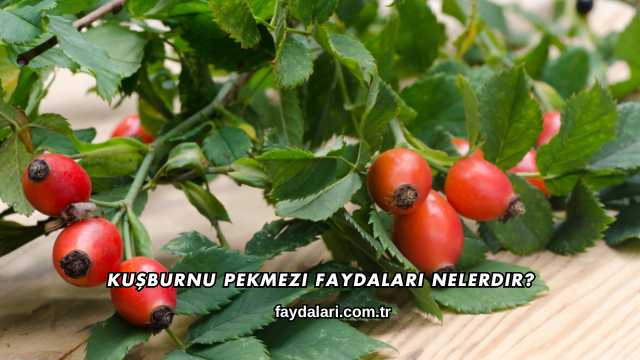 Kuşburnu Pekmezi Faydaları Nelerdir?