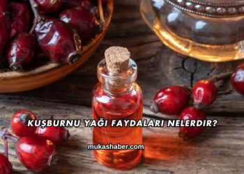 Kuşburnu Yağı Faydaları Nelerdir?