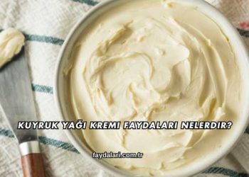 Kuyruk Yağı Kremi Faydaları Nelerdir?