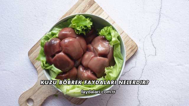 Kuzu Böbrek Faydaları Nelerdir?