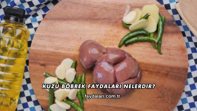 Kuzu Böbrek Faydaları Nelerdir?