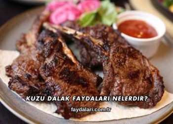 Kuzu Dalak Faydaları Nelerdir?