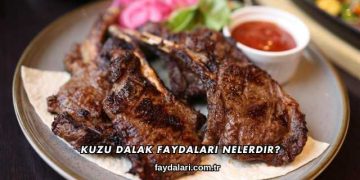 Kuzu Dalak Faydaları Nelerdir?