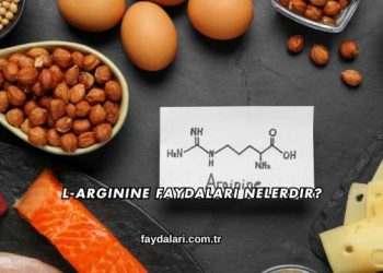L-Arginine Faydaları Nelerdir?