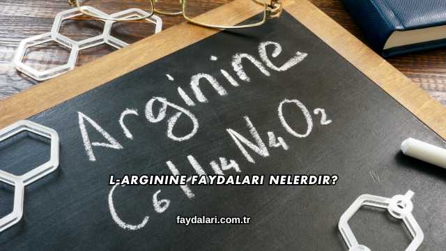 L-Arginine Faydaları Nelerdir?