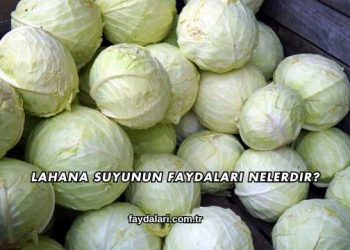 Lahana Suyunun Faydaları Nelerdir?