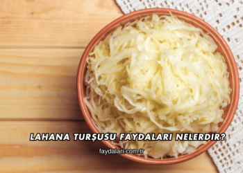 Lahana Turşusu Faydaları Nelerdir?